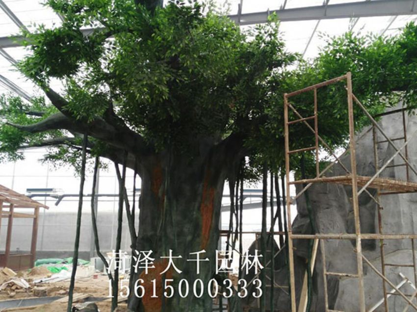 點擊查看詳細信息<br>標題：假樹 閱讀次數(shù)：1205