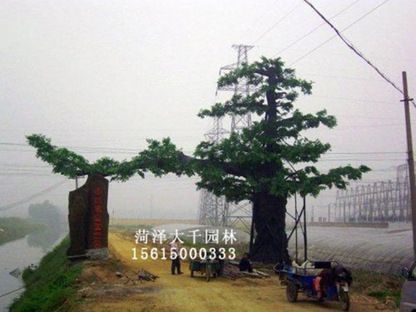 點(diǎn)擊查看詳細(xì)信息<br>標(biāo)題：假樹 閱讀次數(shù)：1253
