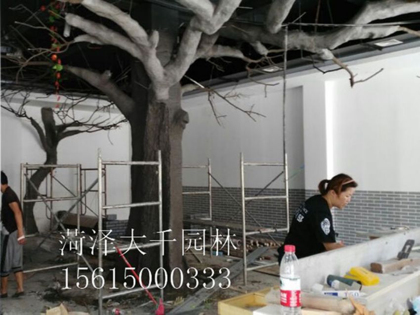 點(diǎn)擊查看詳細(xì)信息<br>標(biāo)題：假樹 閱讀次數(shù)：1262