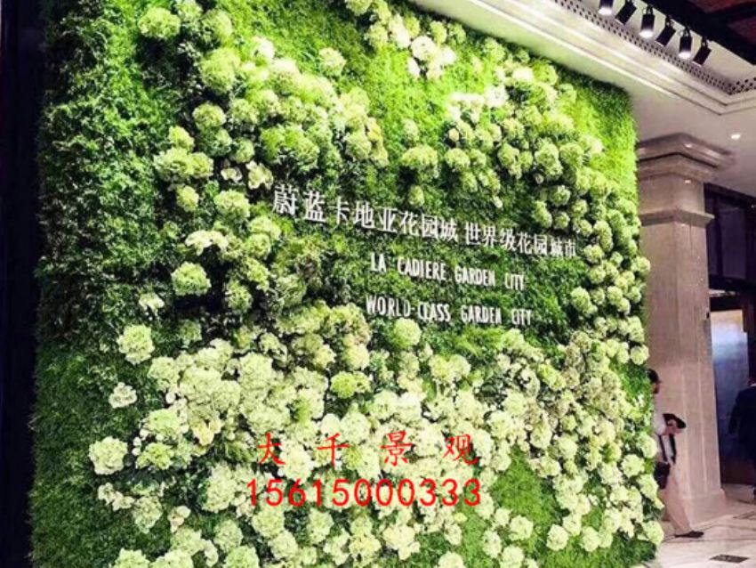 點(diǎn)擊查看詳細(xì)信息<br>標(biāo)題：綠植墻 閱讀次數(shù)：1798